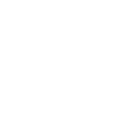 Logo Vantrue Partenaire